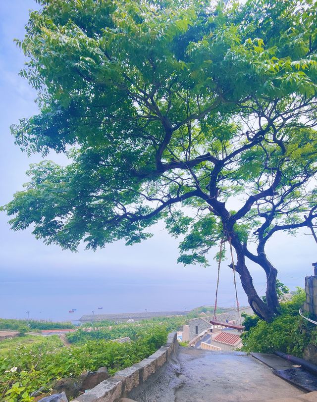 又到了平潭最美的季節，這篇北線攻略收好