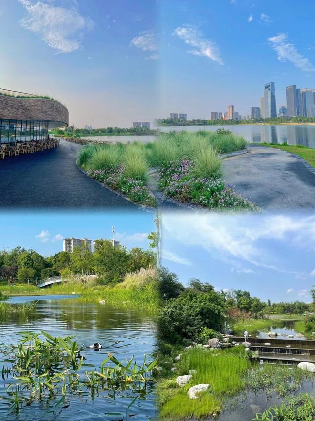 抓住週末陽光，帶著一群活潑萌寶，來一場愉快的都市綠地露營