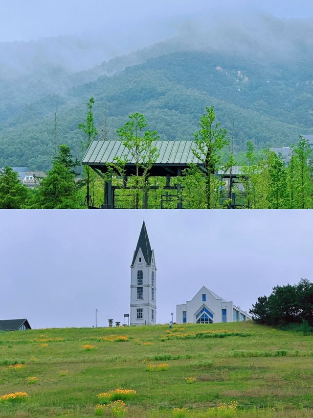 青島藏馬山：自然的詩篇