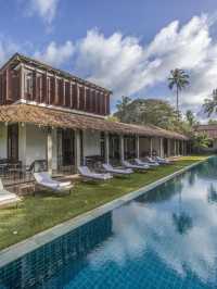 🌴🛏️ Sri Lanka's Serene Stay: Frangipani Tree! 🏖️