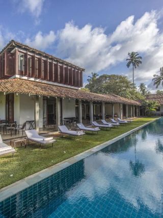 🌴🛏️ Sri Lanka's Serene Stay: Frangipani Tree! 🏖️