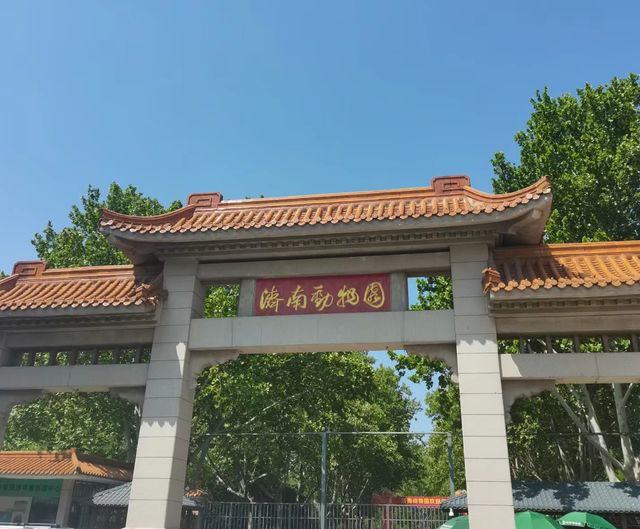 來濟南了，不也得看看國寶華奧與雅吉他們