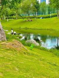 在成都！！！我唯一想去無數次的公園！！