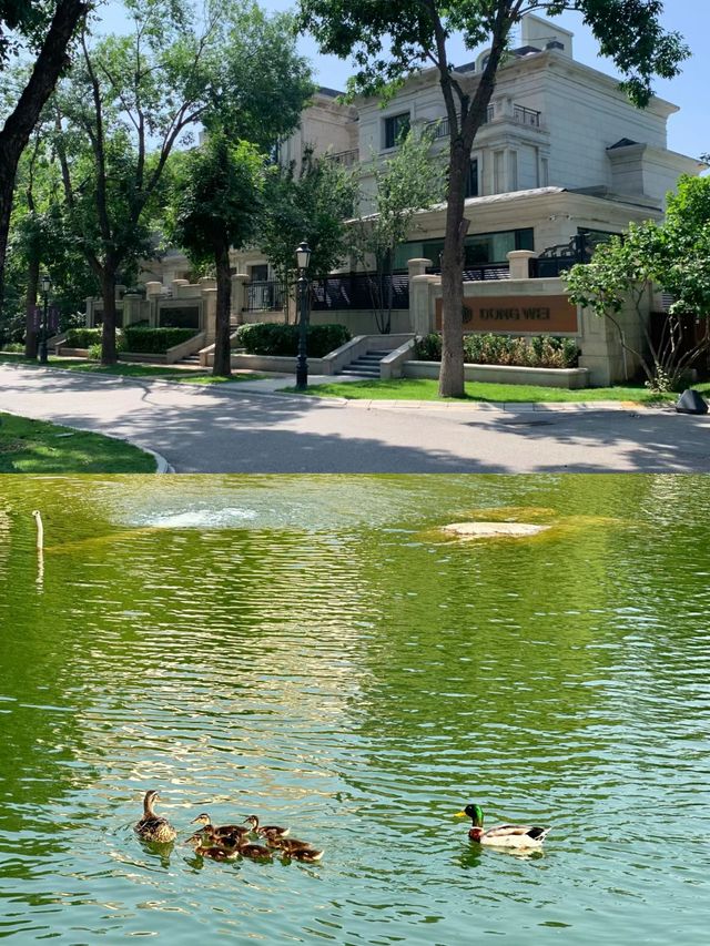 河北·廊坊固安大湖公園