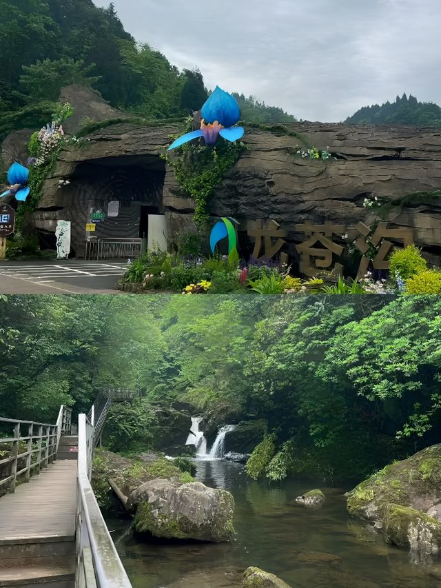 雅安龍苍溝疊翠溪風景區