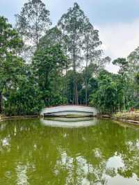 🌳🌿Spathodea Park: Jakarta's Green Oasis🌿🌳