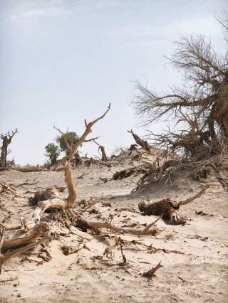 National Geographic Taklamakan Desert Expedition