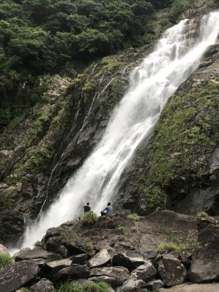 World Heritage Hidden Gem - Yakushima, Japan