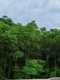 龍泉山城市森林公園徒步攻略