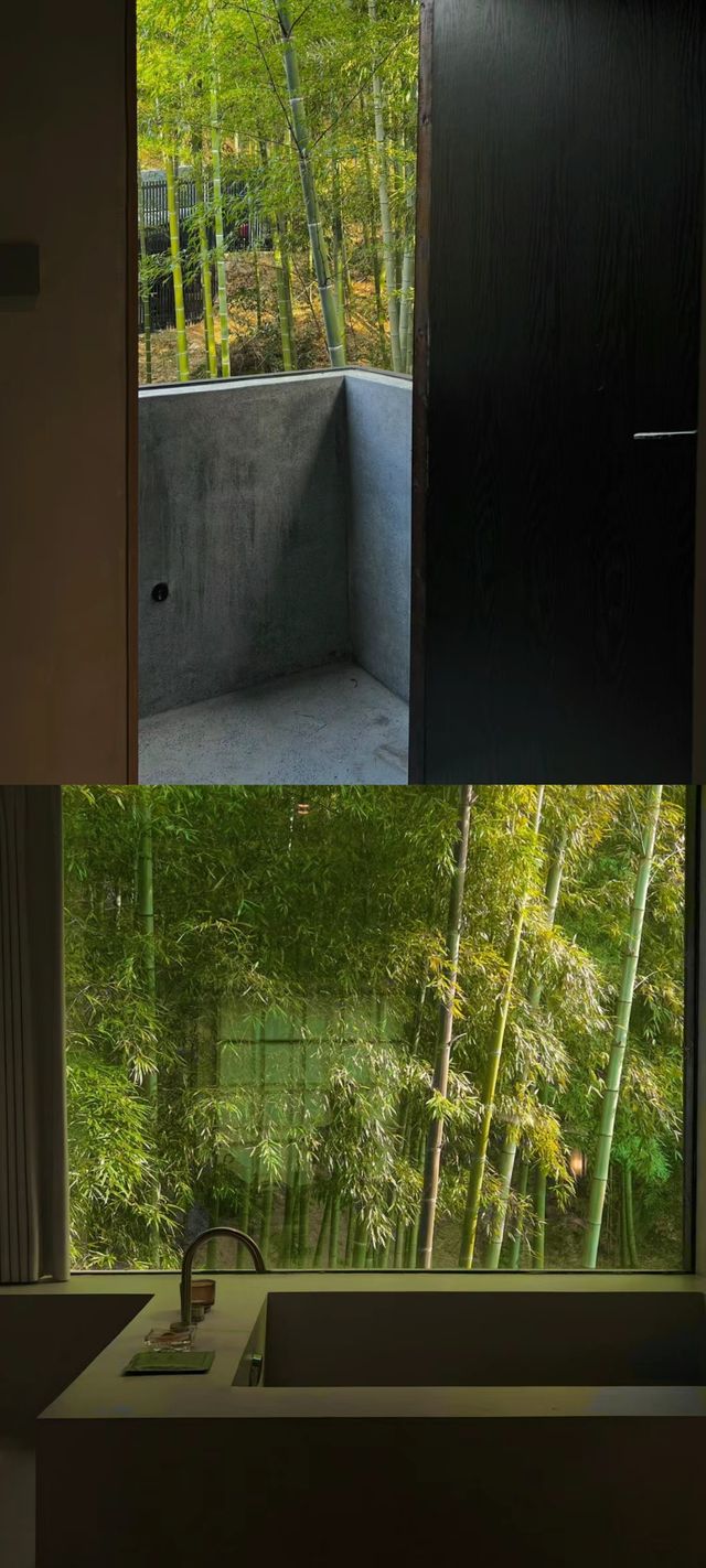 剛從莫干山回來又讓我住進了人生民宿…
