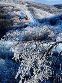 總要去一趟龍頭山吧！！看看雲海，吹吹山頂的風！！