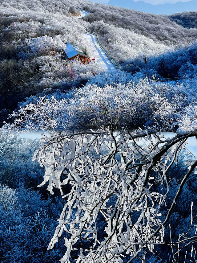 總要去一趟龍頭山吧！！看看雲海，吹吹山頂的風！！