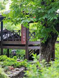 夏日避暑哪裡去？大理漾濞雲上村莊，人少景美好去處！