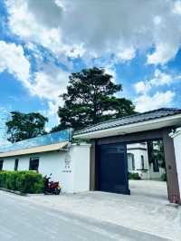 邂逅犬禾 | 民宿咖啡與稻田的絕美篇章