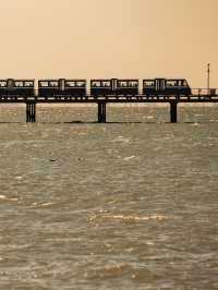 🌈Life's Must-Experience: Spirited Away-Inspired Seaside Train Ride 🚂