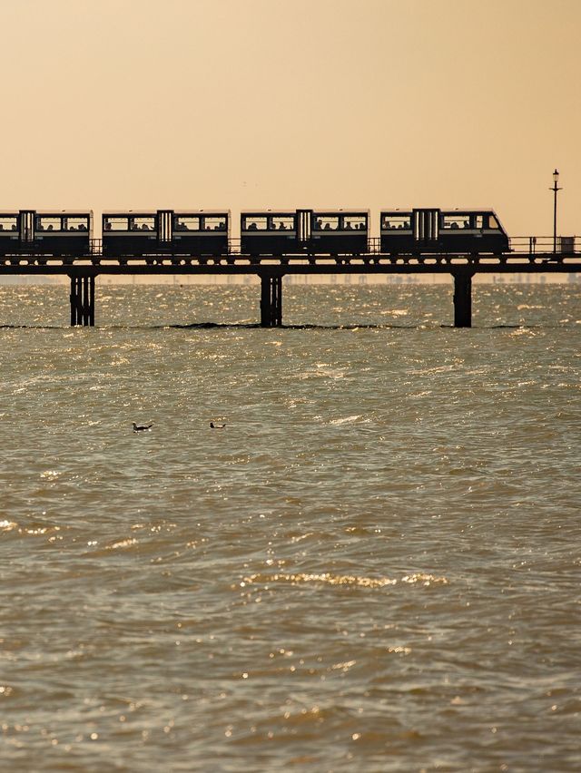 🌈Life's Must-Experience: Spirited Away-Inspired Seaside Train Ride 🚂