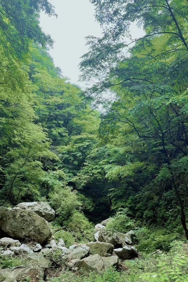 大自然氧吧,景區詳細攻略 大自然氧吧,景區詳細攻略