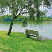 廈門市內好去處|在南湖公園遛彎