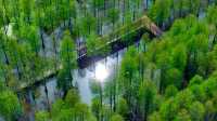 青浦也有五大湖,串珠成線,一文總結清楚