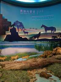 十一帶娃自駕遊，我們住進了蒙古大帽子