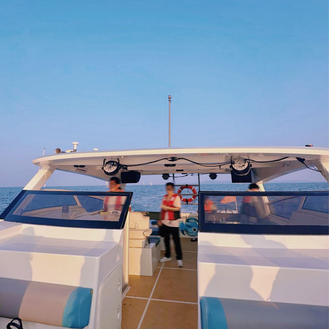 【廈門水上活動】🚤坐遊艇出海，在海上看金門，還有機會偶遇白海豚🐬！