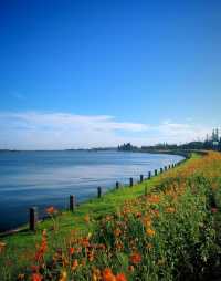 淀山湖風景區。
