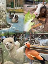 直達成都地鐵,塔子山公園,是個賞秋好去處。