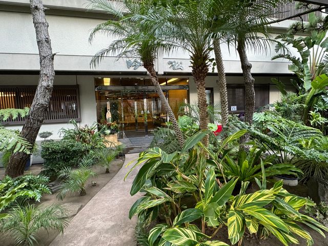 指宿溫泉祕境，冬日裡的夏威夷時光。