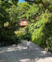 深圳打工人挑戰每週末旅遊第37站雲浮
