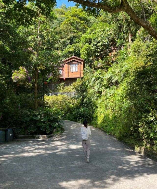 深圳打工人挑戰每週末旅遊第37站雲浮
