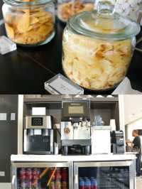 festival(perc)關注Saipan Hote |festival(perc)關注Saipan Hote |。