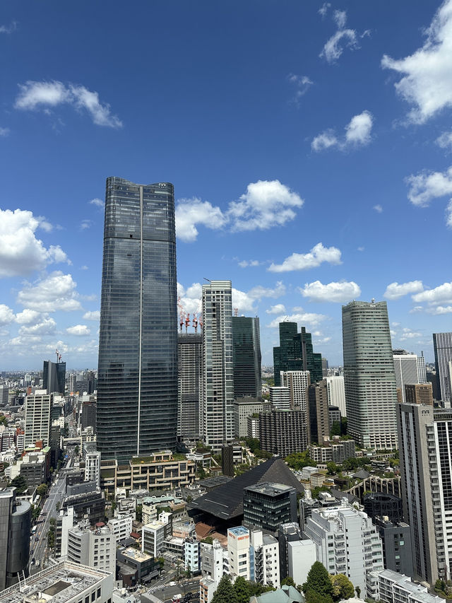 The Best Views of Tokyo From The Iconic Tokyo Tower 🗼 