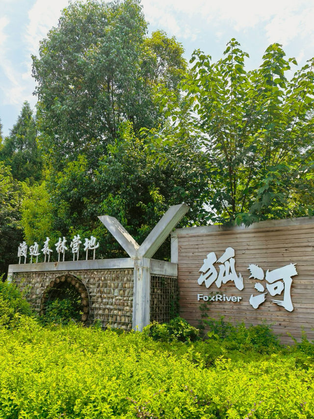 何不逃離喧囂一起去露營？