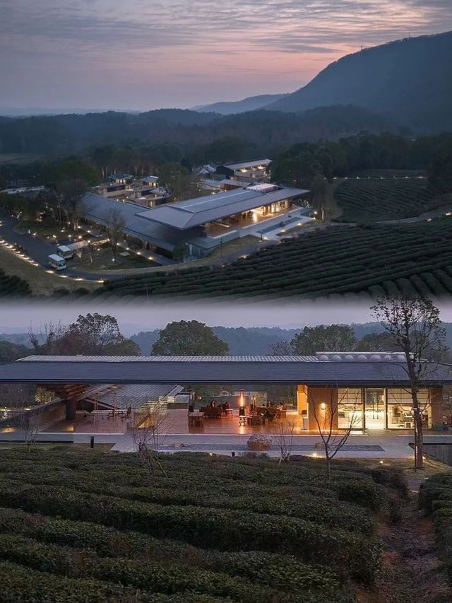 大樂之野．山與寺給你一個逃離喧囂的理由。