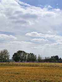國慶錯峰遊皖北，小眾路線驚喜連連。