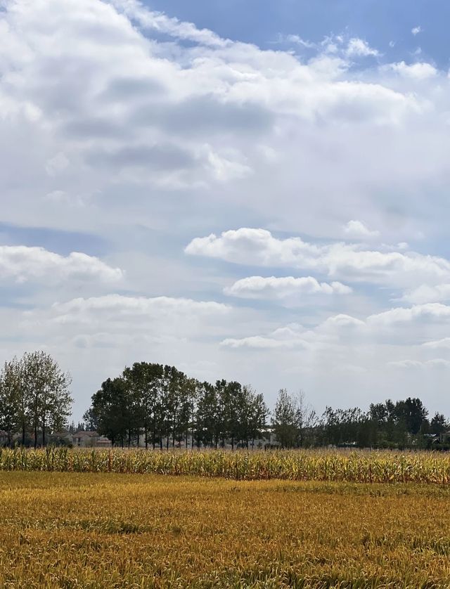 國慶錯峰遊皖北，小眾路線驚喜連連。