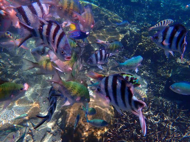 在沙巴，掉進上帝的金魚缸。