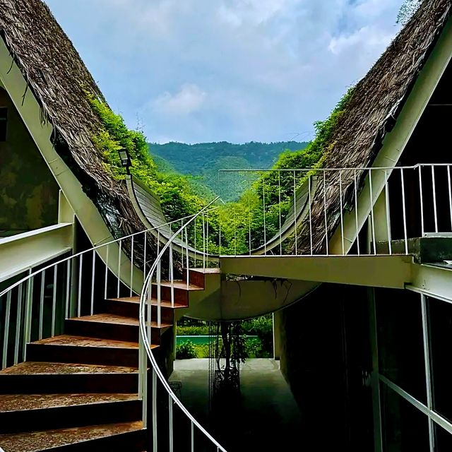 就在莫干山！森林童話木屋值得一讚。