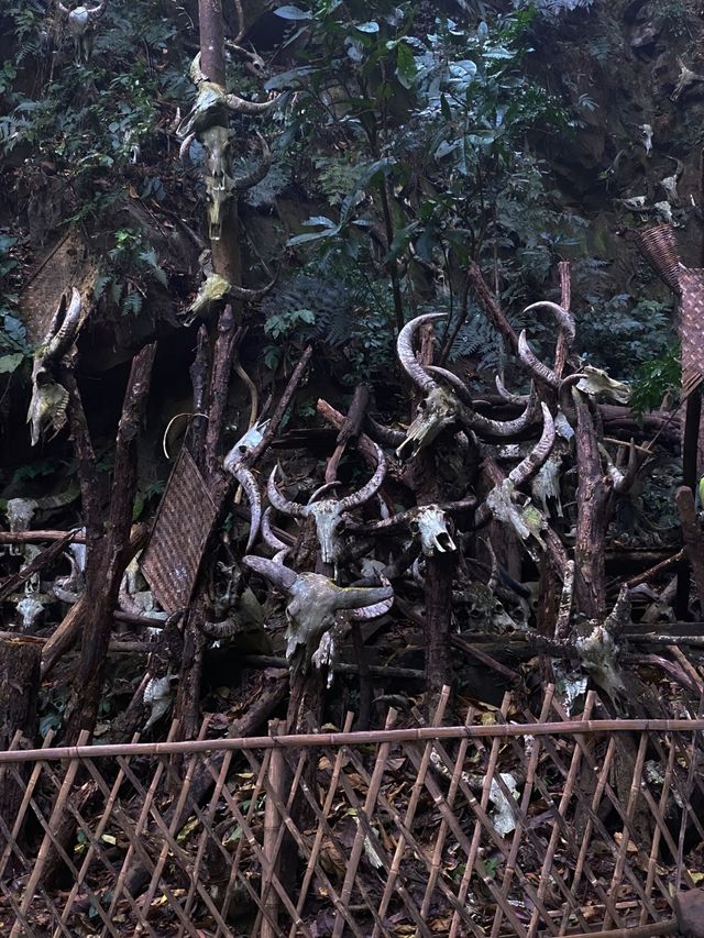普洱西盟勐梭龍潭景區 | 神秘的人間仙境。