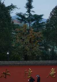 水陸庵——《黑神話：悟空》取景地之一。