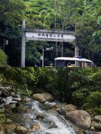 攀登東莞地標建築——銀瓶山一覽眾山小。