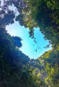 廣西南寧大明山｜嶺南奇境，人間仙域。
