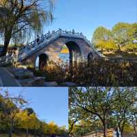 Summer Palace Autumn Stroll