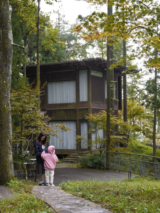 四明山初秋藏了一整片秋日山野。