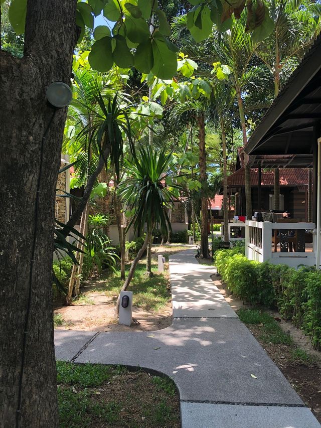 蘇梅島和平度假村 | 這裡是天堂。
