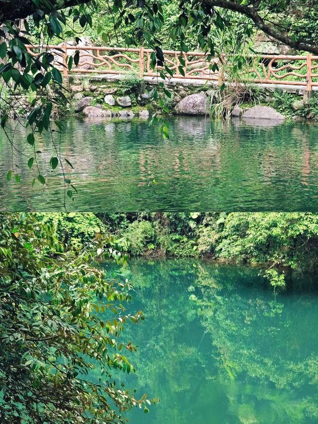 畲族風情與山水畫卷。