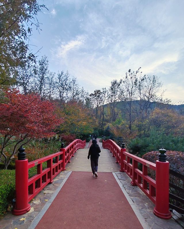 大連植物園｜抓住秋天的尾巴。