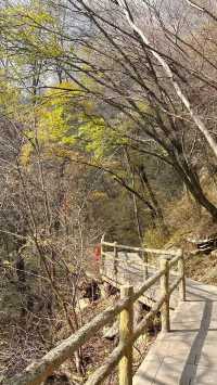 週末爬山太平國家森林公園。
