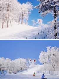 不在瑞士！在長白山！住進童話般雪景小木屋。