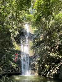 柳州雙龍溝｜原始森林的神秘探秘。
